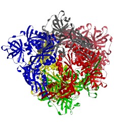 Image of CATH 3cb4