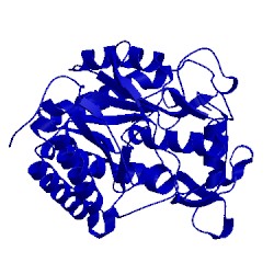 Image of CATH 3cbh