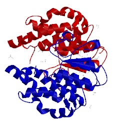Image of CATH 3cbu
