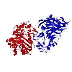 Image of CATH 3cc1