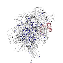 Image of CATH 3cc2