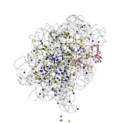 Image of CATH 3ccr