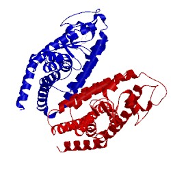 Image of CATH 3cdp