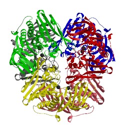 Image of CATH 3cdx