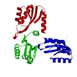 Image of CATH 3ced