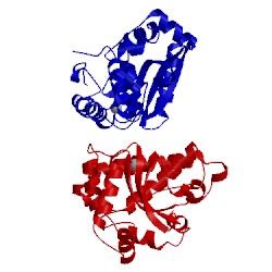 Image of CATH 3cei