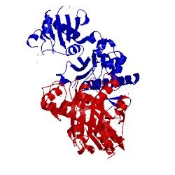 Image of CATH 3cet