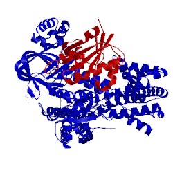 Image of CATH 3cf6