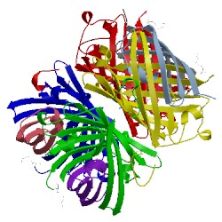 Image of CATH 3cfa