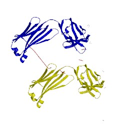 Image of CATH 3cfe