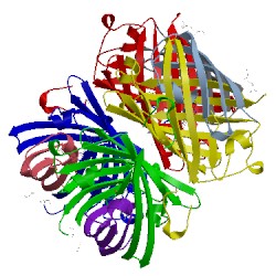 Image of CATH 3cfh