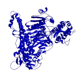 Image of CATH 3cfo