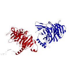 Image of CATH 3cfv