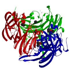Image of CATH 3cg8
