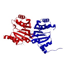 Image of CATH 3cgg