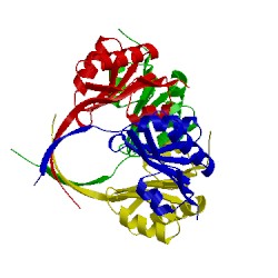 Image of CATH 3cgi