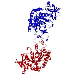 Image of CATH 3ch9