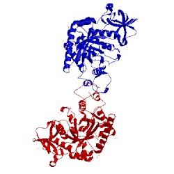 Image of CATH 3chc