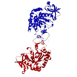 Image of CATH 3che