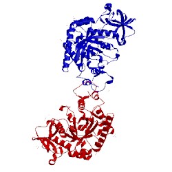 Image of CATH 3chf