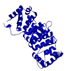 Image of CATH 3chl