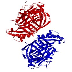 Image of CATH 3cic