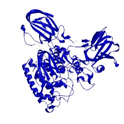 Image of CATH 3cih