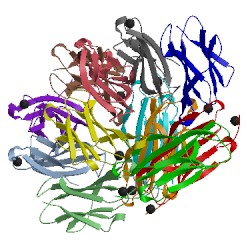 Image of CATH 3ciq