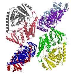 Image of CATH 3cis