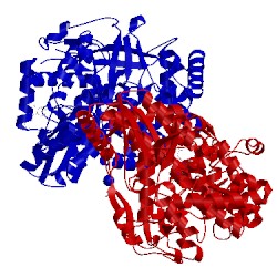 Image of CATH 3cj4