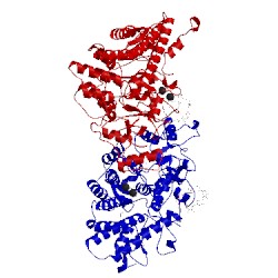 Image of CATH 3ck8