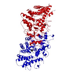 Image of CATH 3ckc