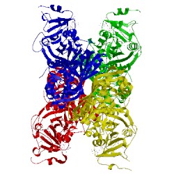 Image of CATH 3clb