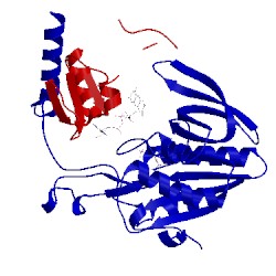 Image of CATH 3clt