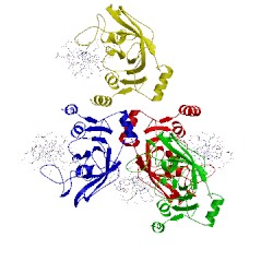 Image of CATH 3clz