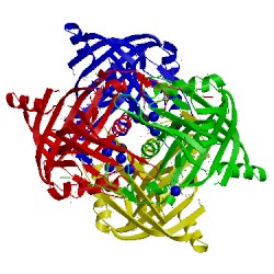 Image of CATH 3cmb