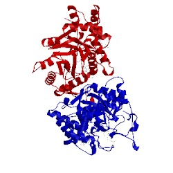 Image of CATH 3cmf