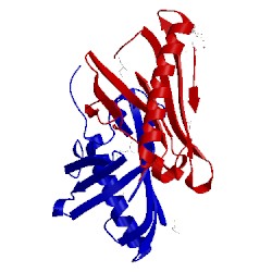 Image of CATH 3cnw