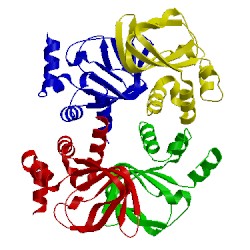 Image of CATH 3co2