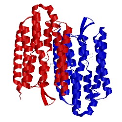 Image of CATH 3cod