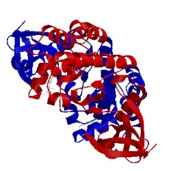 Image of CATH 3coh