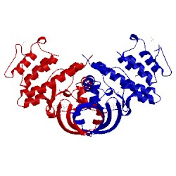 Image of CATH 3cok