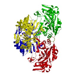 Image of CATH 3cos