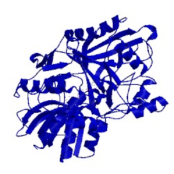 Image of CATH 3cox