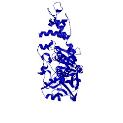 Image of CATH 3cp2