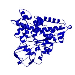 Image of CATH 3cp4
