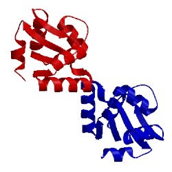 Image of CATH 3cpq