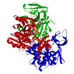 Image of CATH 3cpx