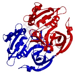 Image of CATH 3cse