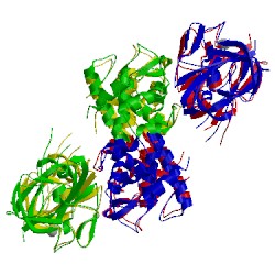 Image of CATH 3csq
